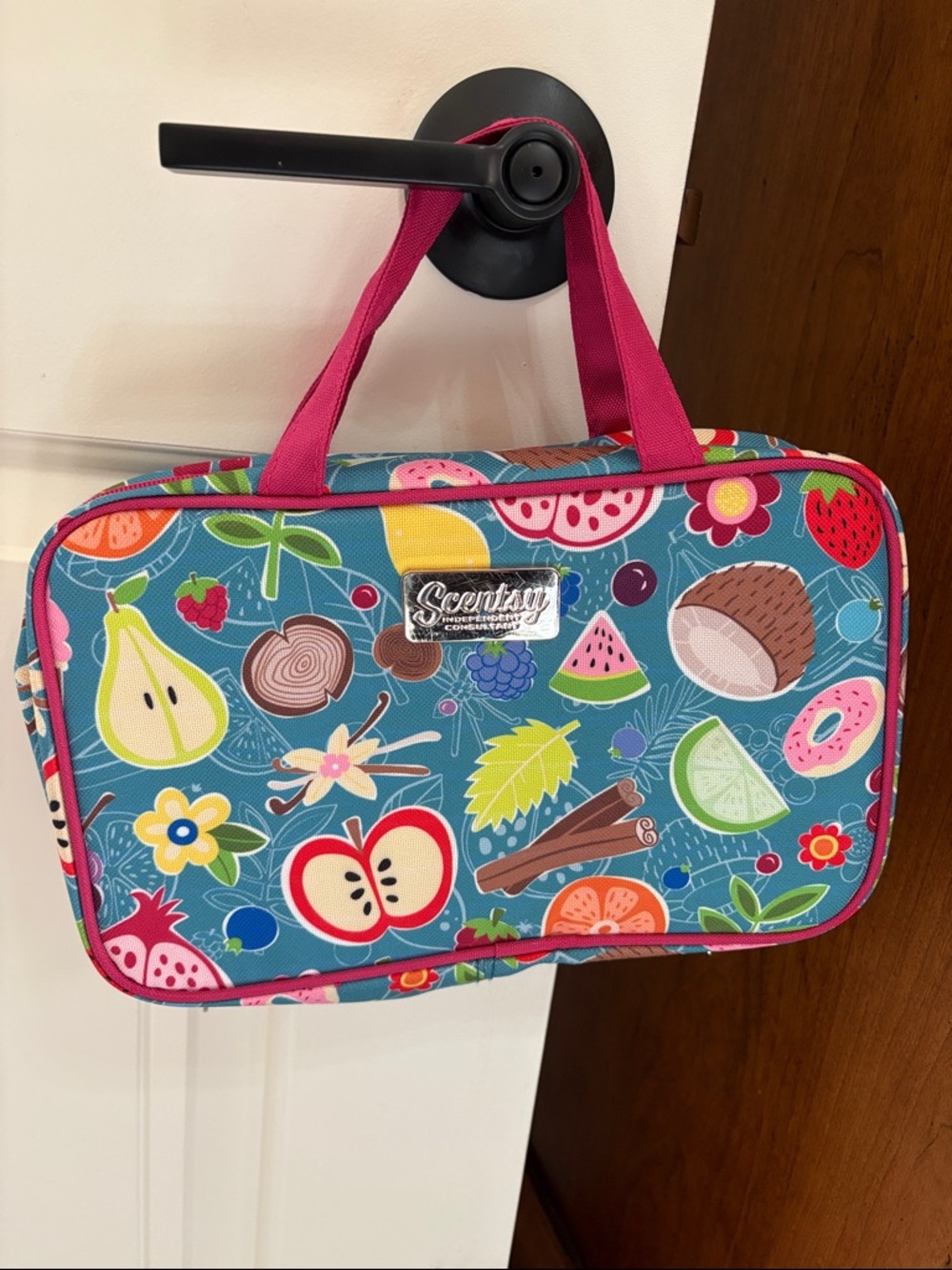 Scentsy Teal Fruit & Floral Travel Organizer with Pink Handles